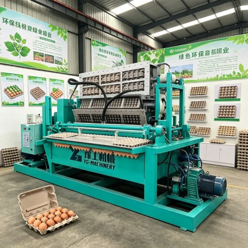 Small Scale 1500pcs Egg Cartons Machine Making Egg Tray Production Machine