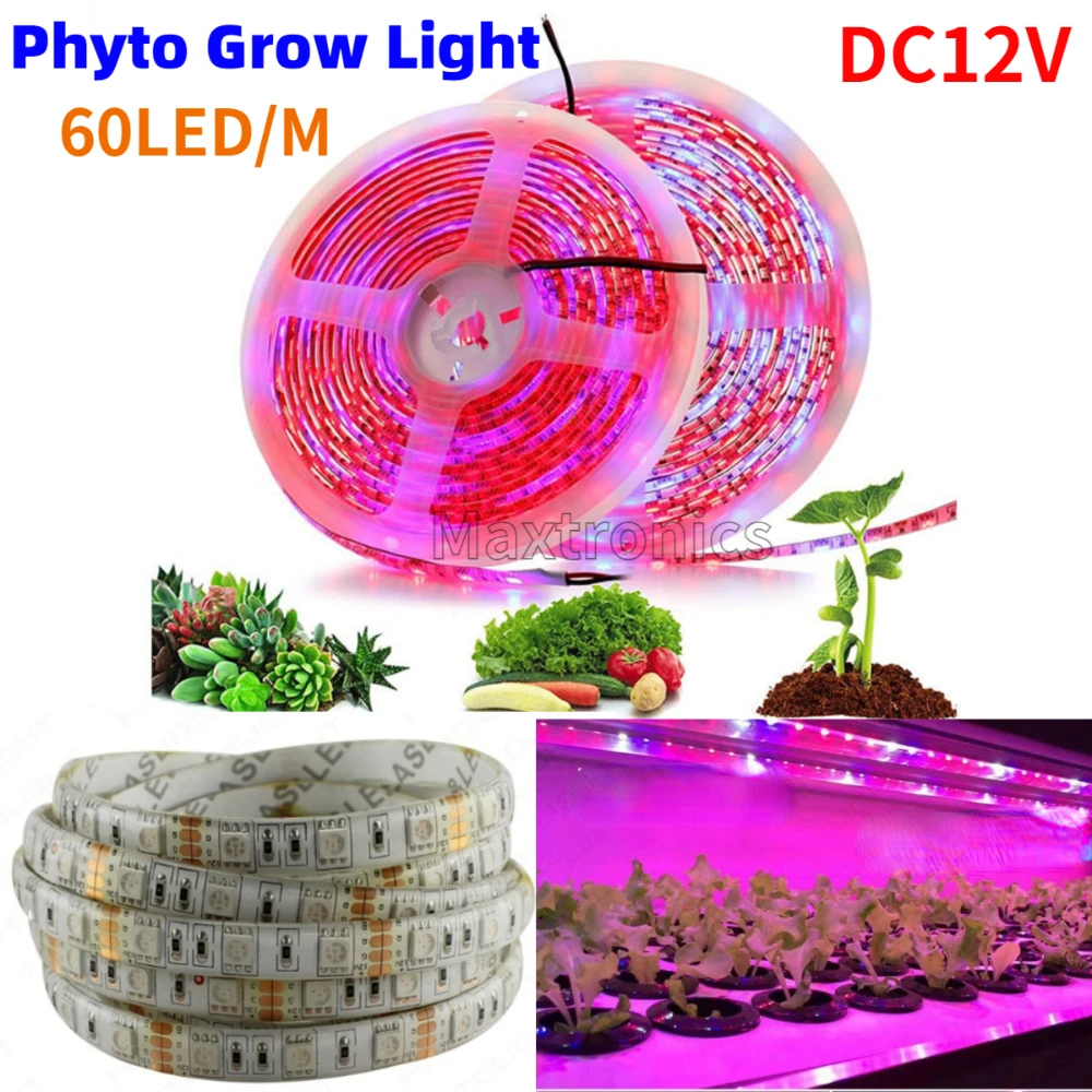 DC12V 5M LED Phyto Grow Lights SMD5050 60LED/M Flower Plant Lamp for Greenhouse Hydroponic Plant Full Spectrum LED Strip Tape