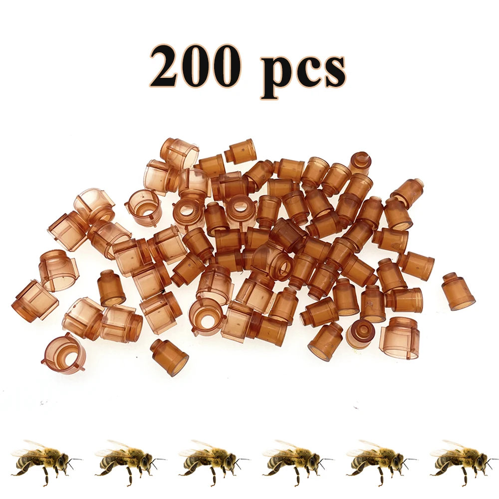 

Jenter Accessories Bee Brown Cell Plastic Cup For Queen Rearing High Accepted Royalty Brooding Bowls Without Grafting 200PCS