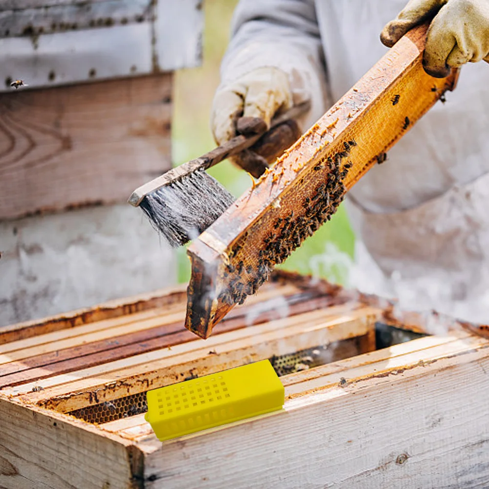 10 قطعة تربية النحل النقل شبكة قفص البلاستيك الملك سجين النحل الملكة آخر خلية الماسك غرفة قفص أدوات معدات تربية النحل