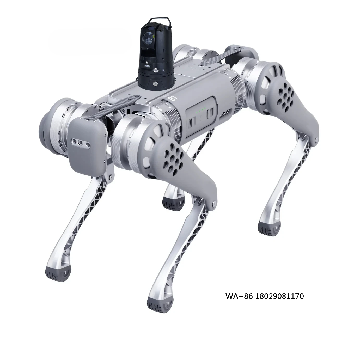 Netwerk voor het monitoren van de bouwplaats Slimme robothond Uitgerust met HighDef