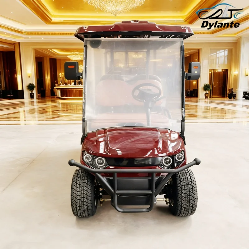 عربة جولف كهربائية جديدة مخصصة 4 أشخاص بطارية ليثيوم دراجة كهربائية للصيد طويلة التحمل مع حزام أمان عالي الجودة