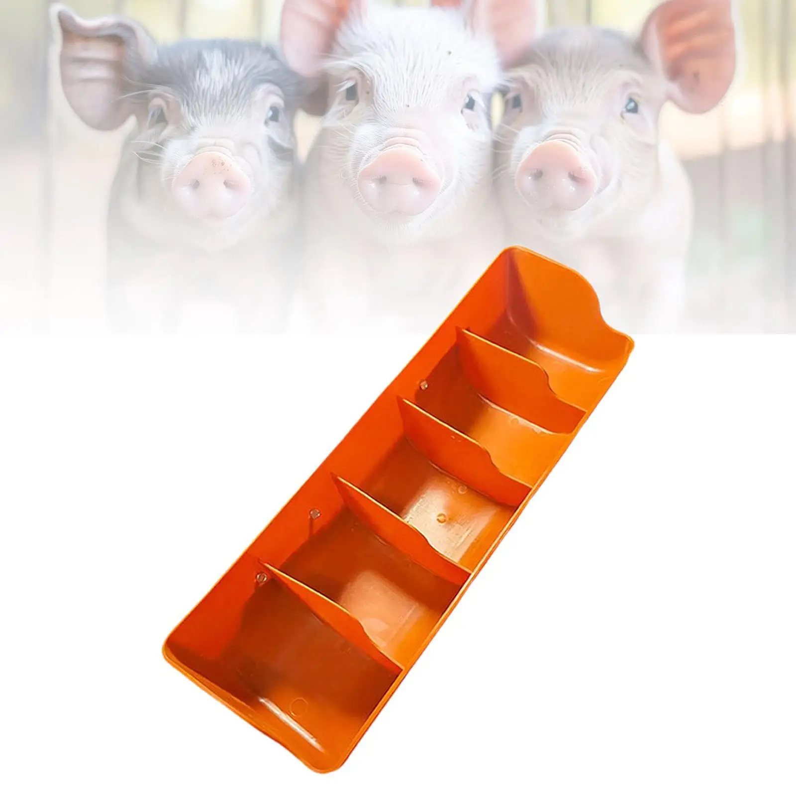 Bol d'alimentation pour porcs, Portable, facile à nettoyer, réutilisable, mangeoire pour porcs de bébé, bac à nourriture pour porcelets, plateau de nourriture pour chiots, volaille, bétail