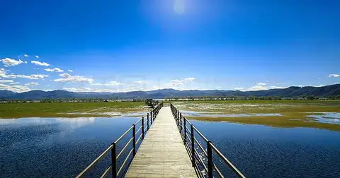 ISDT D2 Mark II 200W 24A Smart Balance Charger AC Dual Channel Output RC Charger for LiFe/Lilon/LiPo/LiHv NiMH/Cd PB Battery