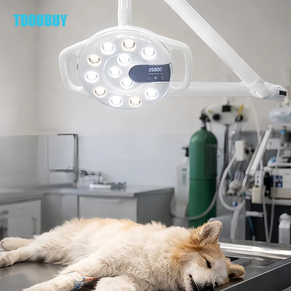 LED Wall Mounted Dental Surgical Light Infrared Induction Shadowless Operating Lamp for Medical Clinic Aesthetic & Pet Surgery
