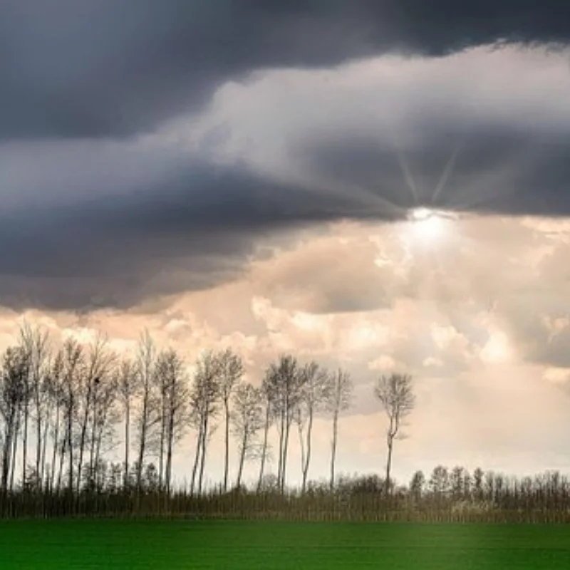 

Металлическая передняя верхняя крышка дифференциала переборки 7720 для Trxs 1/5 X-MAXX 6S 8S 1/6 XRT 8S Детали для обновления радиоуправляемого автомобиля