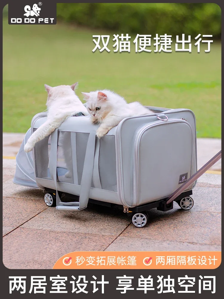 

Cat bag large capacity two cats go out trolley case dog portable bag pet trolley backpack double cat expansion bag