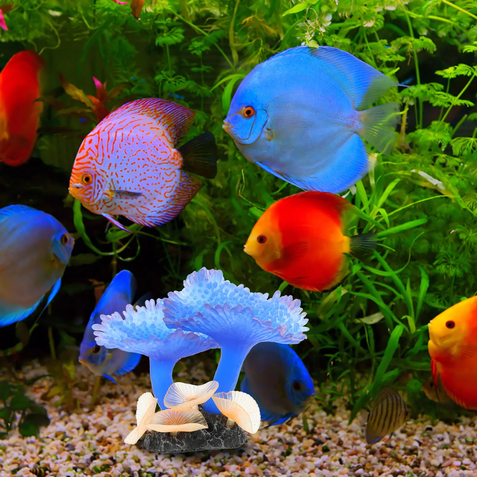 

Simulated Coral Plants Silicone Aquarium Decor For Fish Tank Freshwater Saltwater Vivid Realistic Decoration Desktop