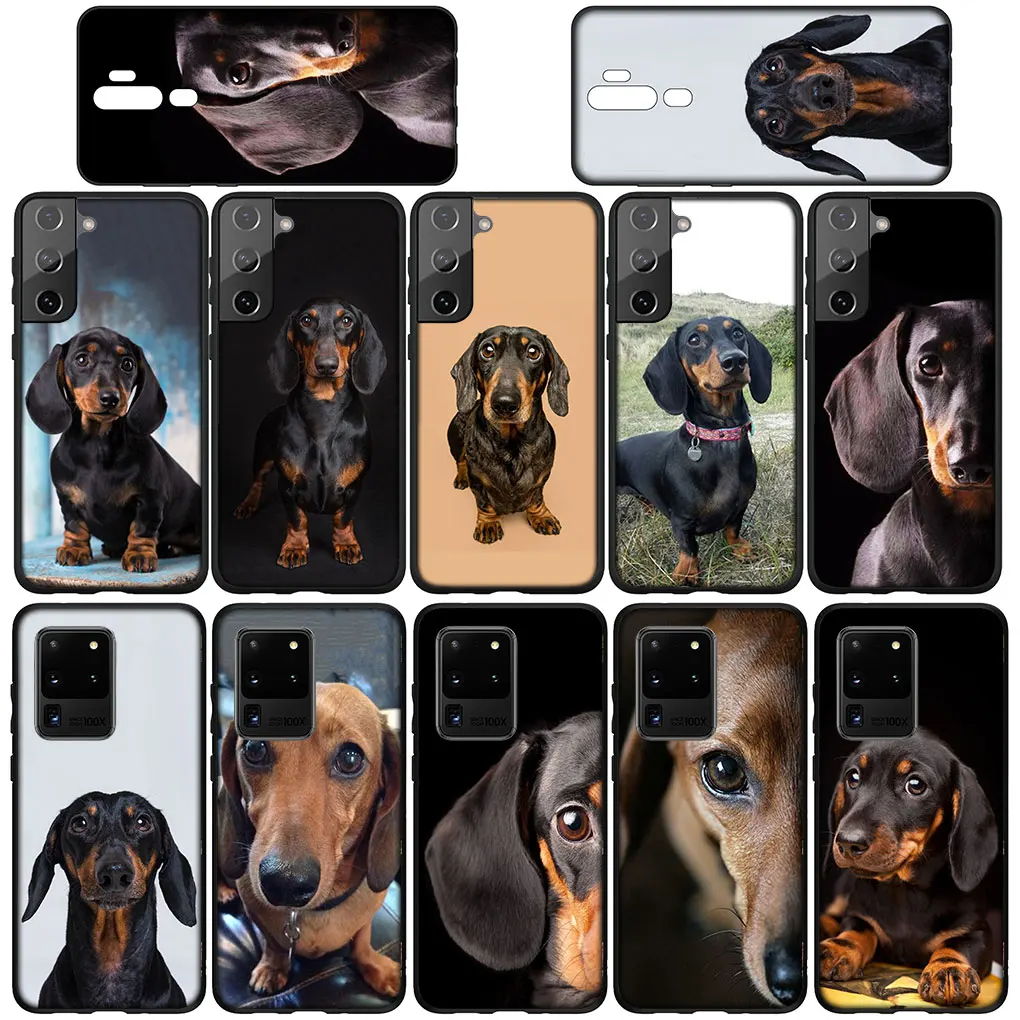 Dachshund Dog Cover Phone Casing for Samsung Galaxy S21 S20 Fe S23 S22 Ultra S8 Plus A71 A12 A13 A21S S7 Soft Case