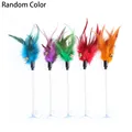 Random Color
