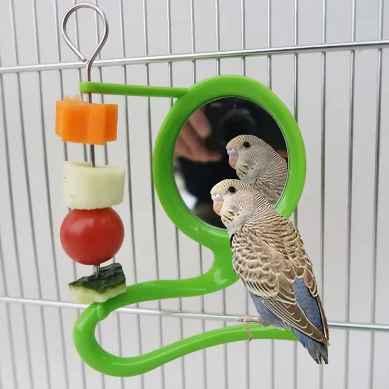 Juguete de espejo para pájaros con soporte de plástico para percha, soporte de Metal para loros, frutas y verduras, alimentador, molinos, canarios, accesorios para jaulas