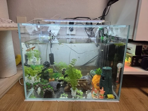 구매후기
