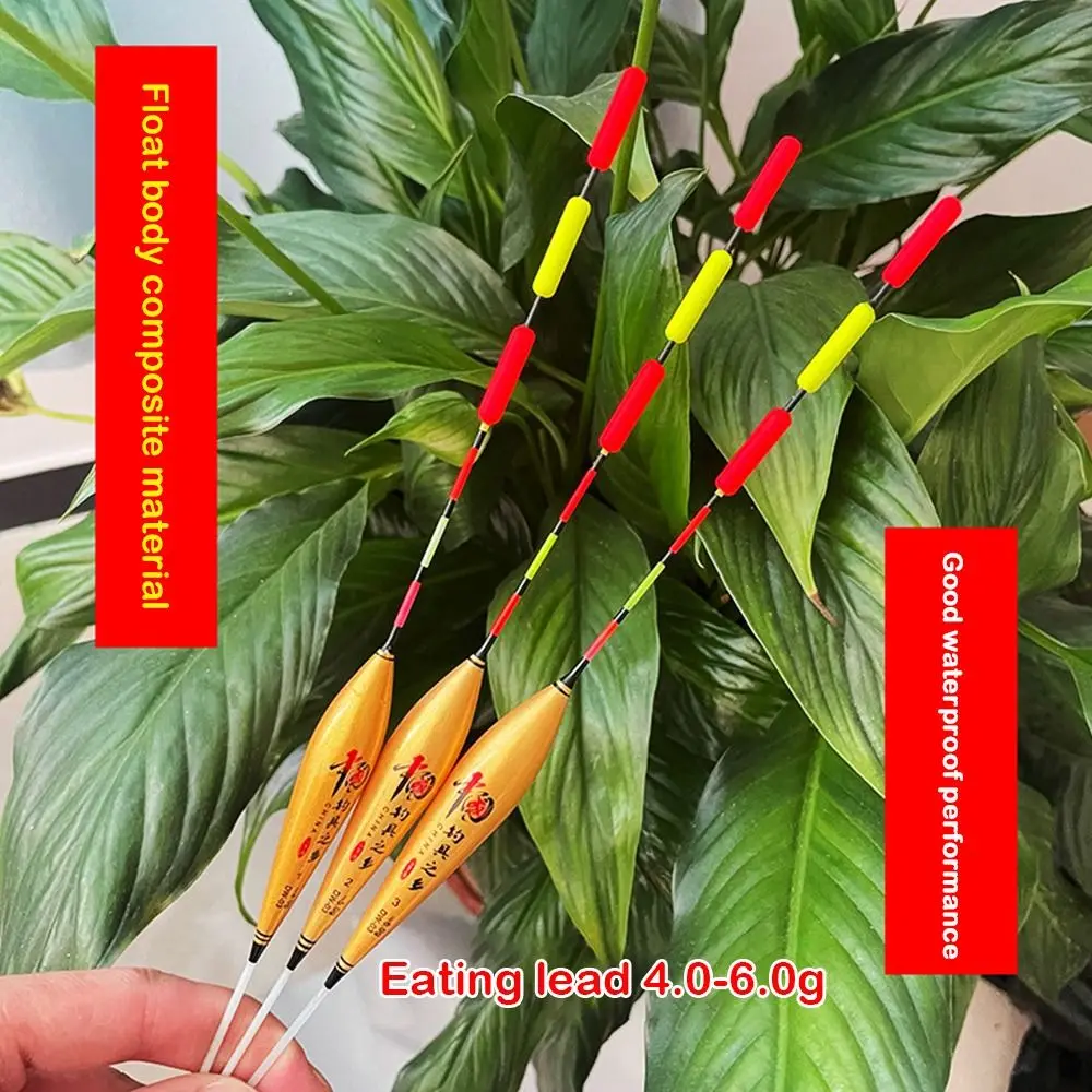 Fashion Bold Large …