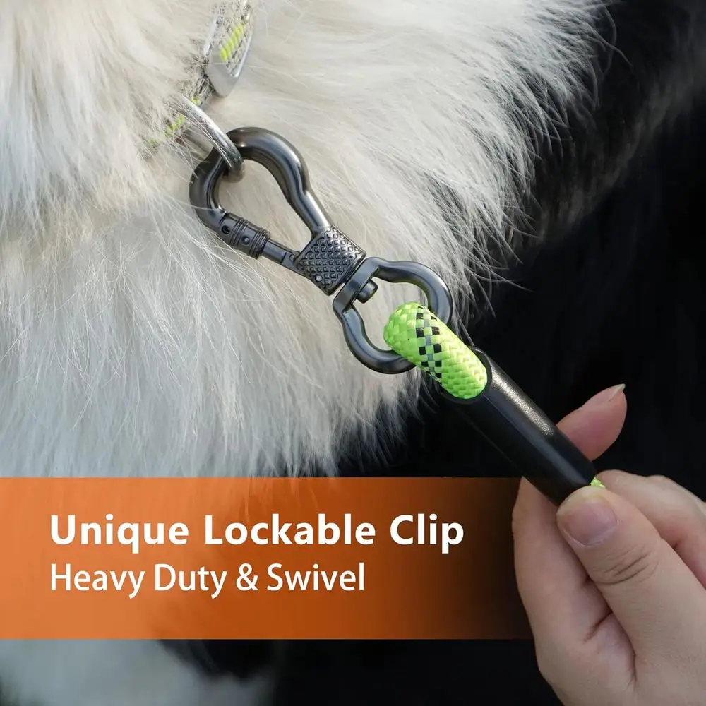 6T Training Leash, Padded Handle, Reflective Thread, Dog Lead for Walking, Hunting, Camping, Suitable for Small Medium Large Dog
