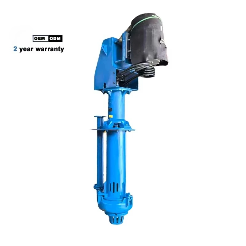 100RV-SP Submersible Vertical Slurry Pump, High Flow Wear Resistant Sand Suction Sewage Mortar Tailings Pump