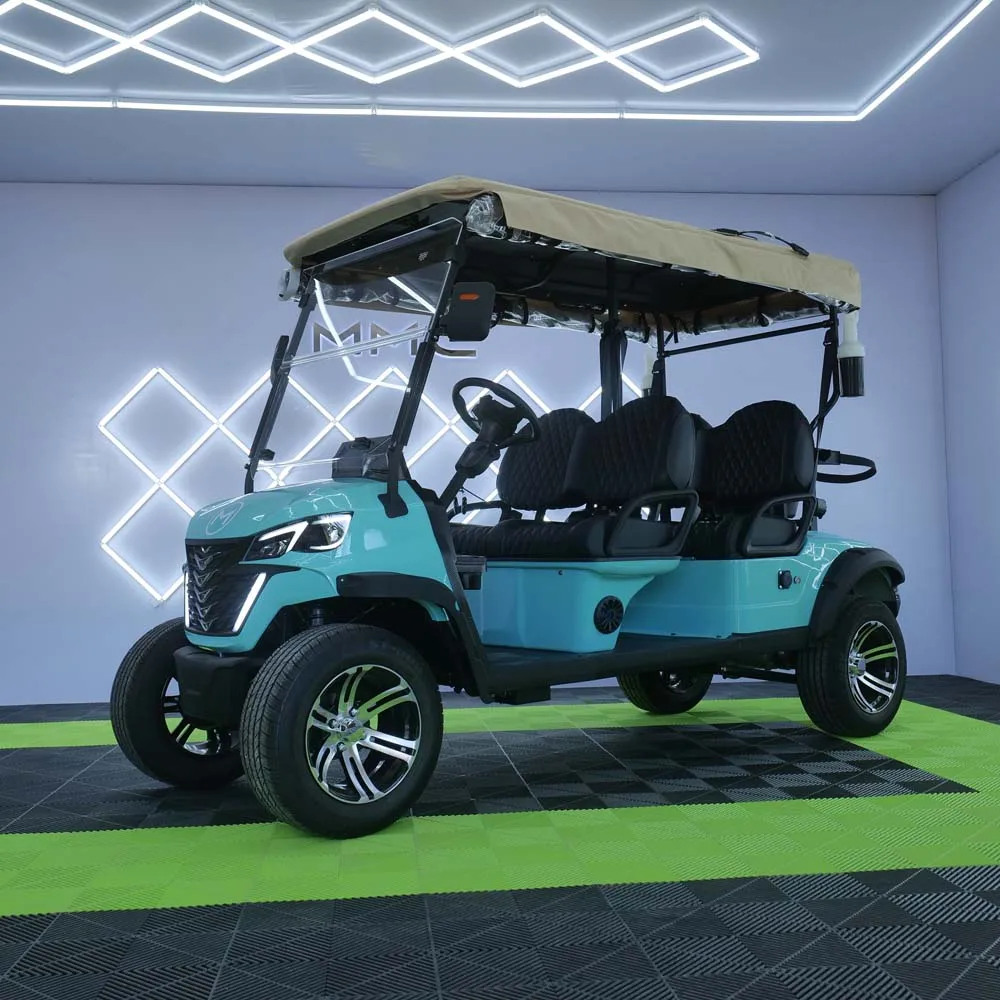 Best Selling Off-Road Electric Golf Cart User Manual