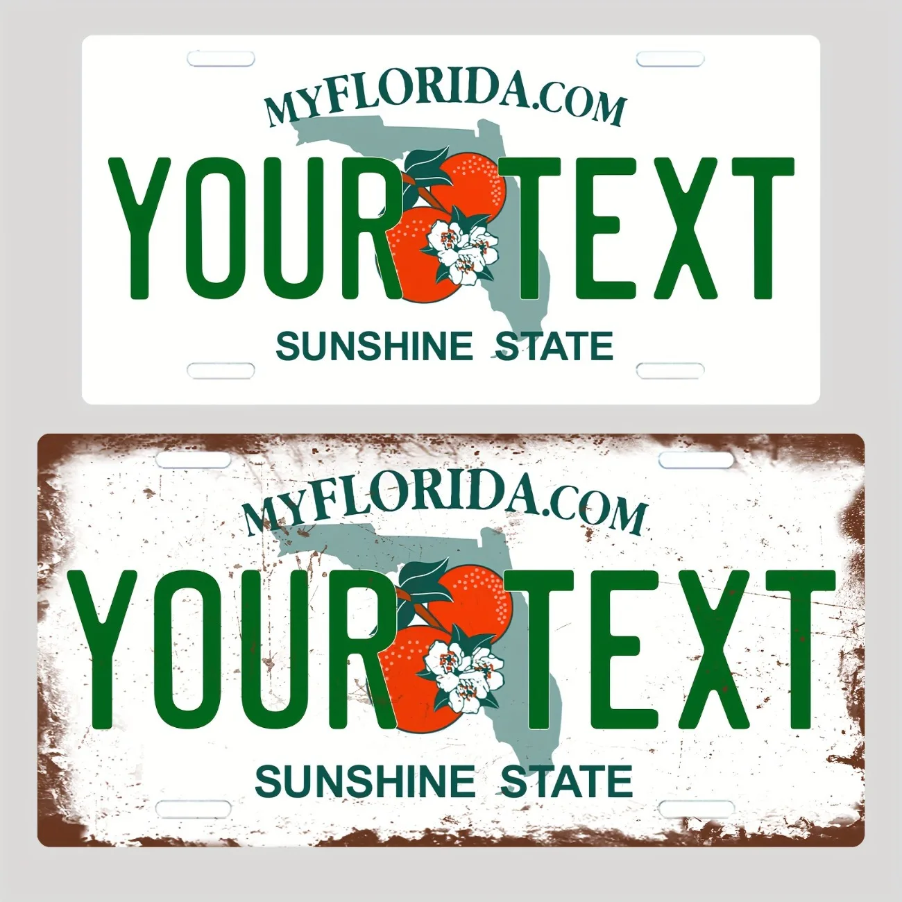 لوحة ترخيص ديكور من الألومنيوم من فلوريدا قابلة للتخصيص - ديكور منزلي - ديكور غرفة النوم (ديكور فقط)