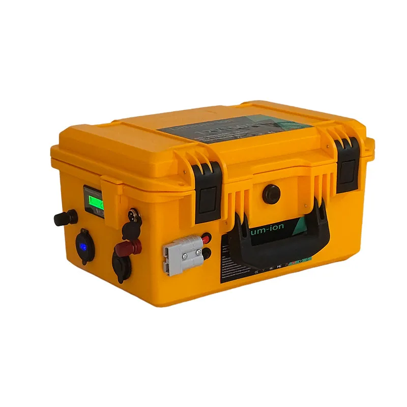12v 50ah 60ah 80ah 100ah 250ah 120ah LiFePO4 Lithium Battery with BMS Intelligent 4S for Boat Rubber Boat Propeller Trolling Mot