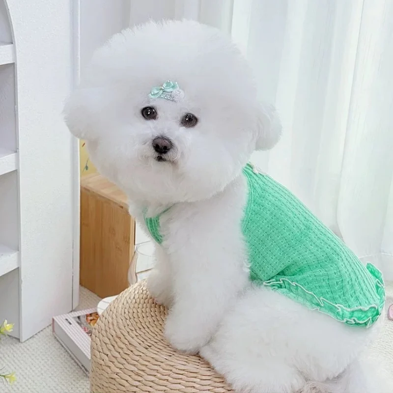 Vestido lazo perro y falda princesa gato – ropa verano suave - imagen 2
