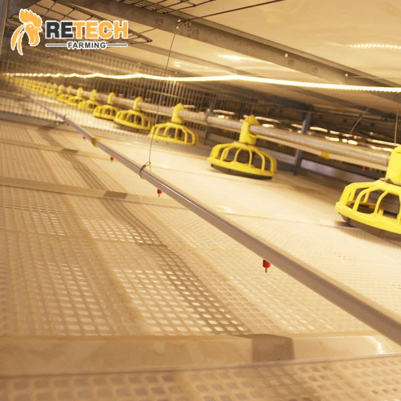 

High Quality Automatic Poultry Farm Equipment Meat Broiler Chicken Battery Cage Sale