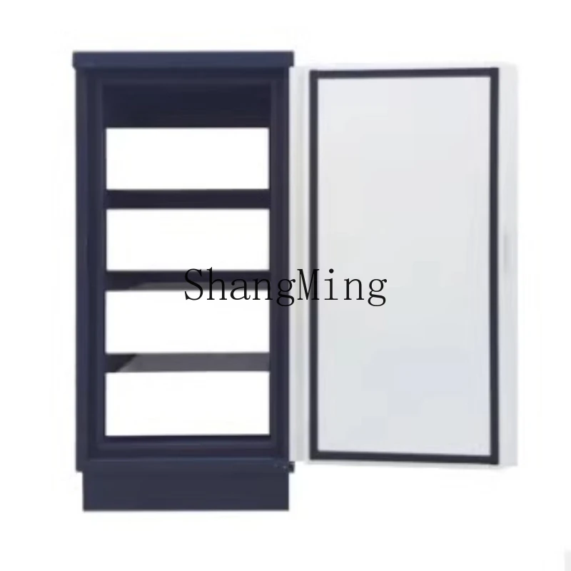 

ZYH file CD anti-magnetic cabinet Audio and video anti-magnetic cabinet Small degaussing and moisture-proof steel cabinet