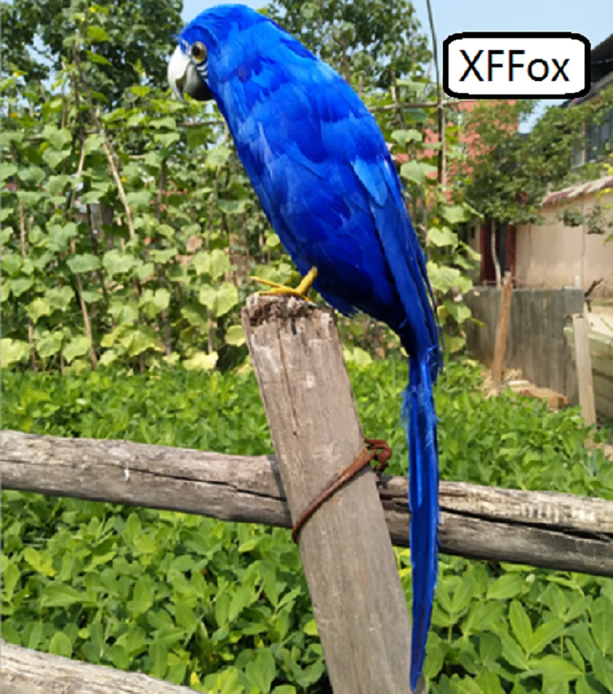 

new real life dark blue parrot model foam&feather simulation parrot bird gift about 42cm xf0218