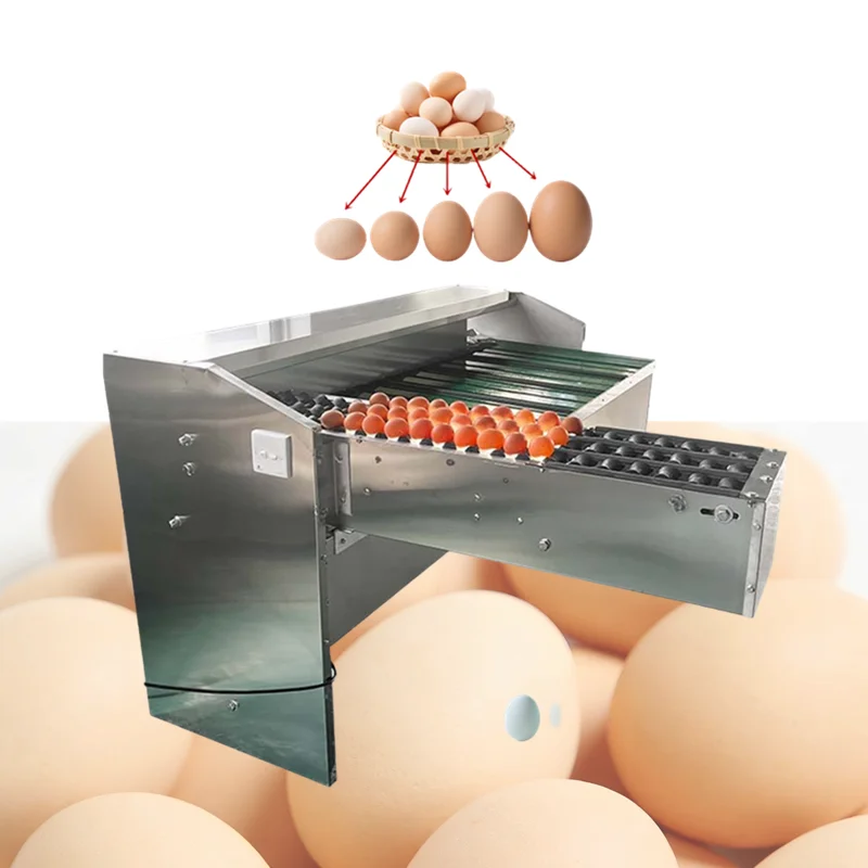 FOODLINE Automatic Egg Grader With Conveyor System For Complete Egg Washing Sorting Production Line