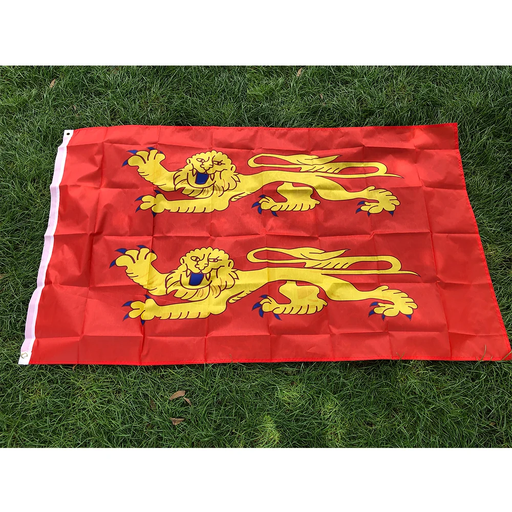 90x150cm Frankreich Basse Normandie Flagge Polyester hängendes Normandie Flagge Banner zur Dekoration