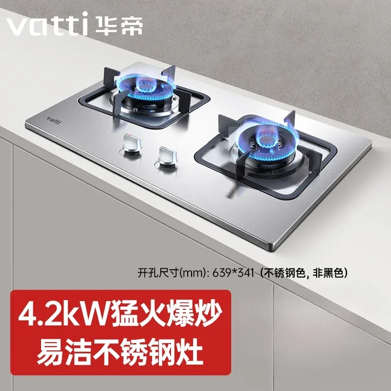 Vatti Gas Stove for Home & Outdoor Cooking, Stainless Steel Double Burner Natural & LPG Gas Cooktop