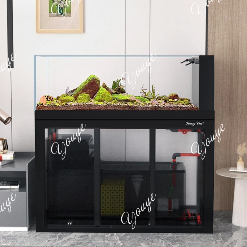 

80 cm manufacturer customized large and medium-sized aquarium with filter system free water change salt water fish tank aquarium