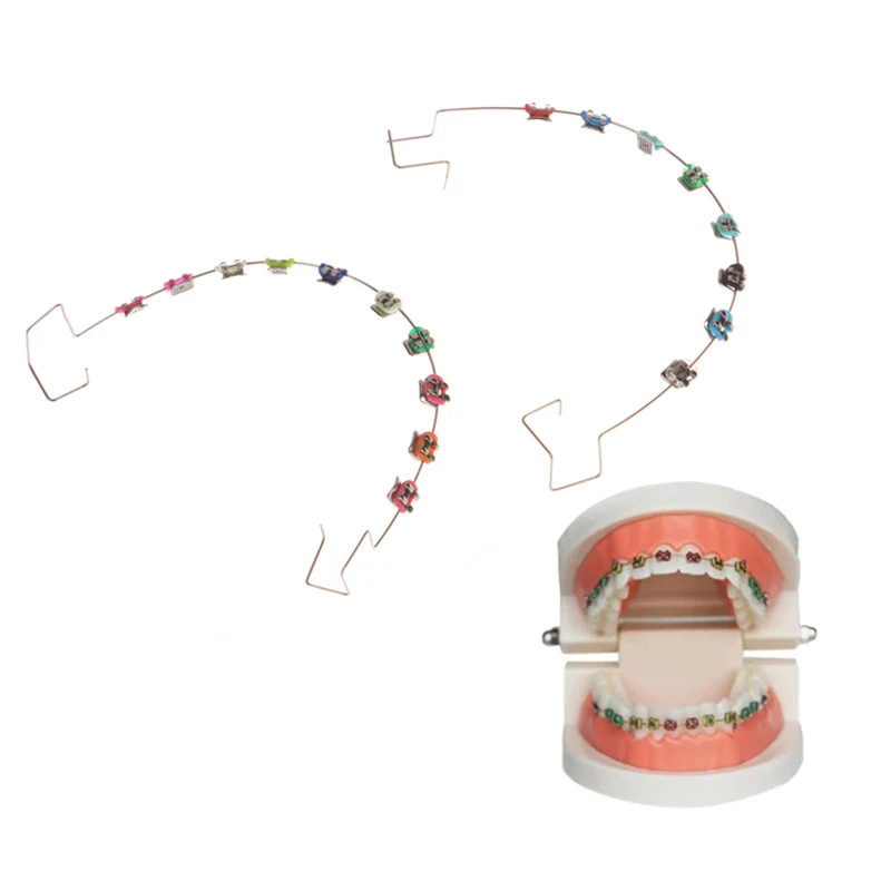 2Pcs Dentistry Fake Brackets Brace Teeth Temporary Dental Decoration Metal Wires Metal Bracket Colorful Orthodontic Ligature Tie