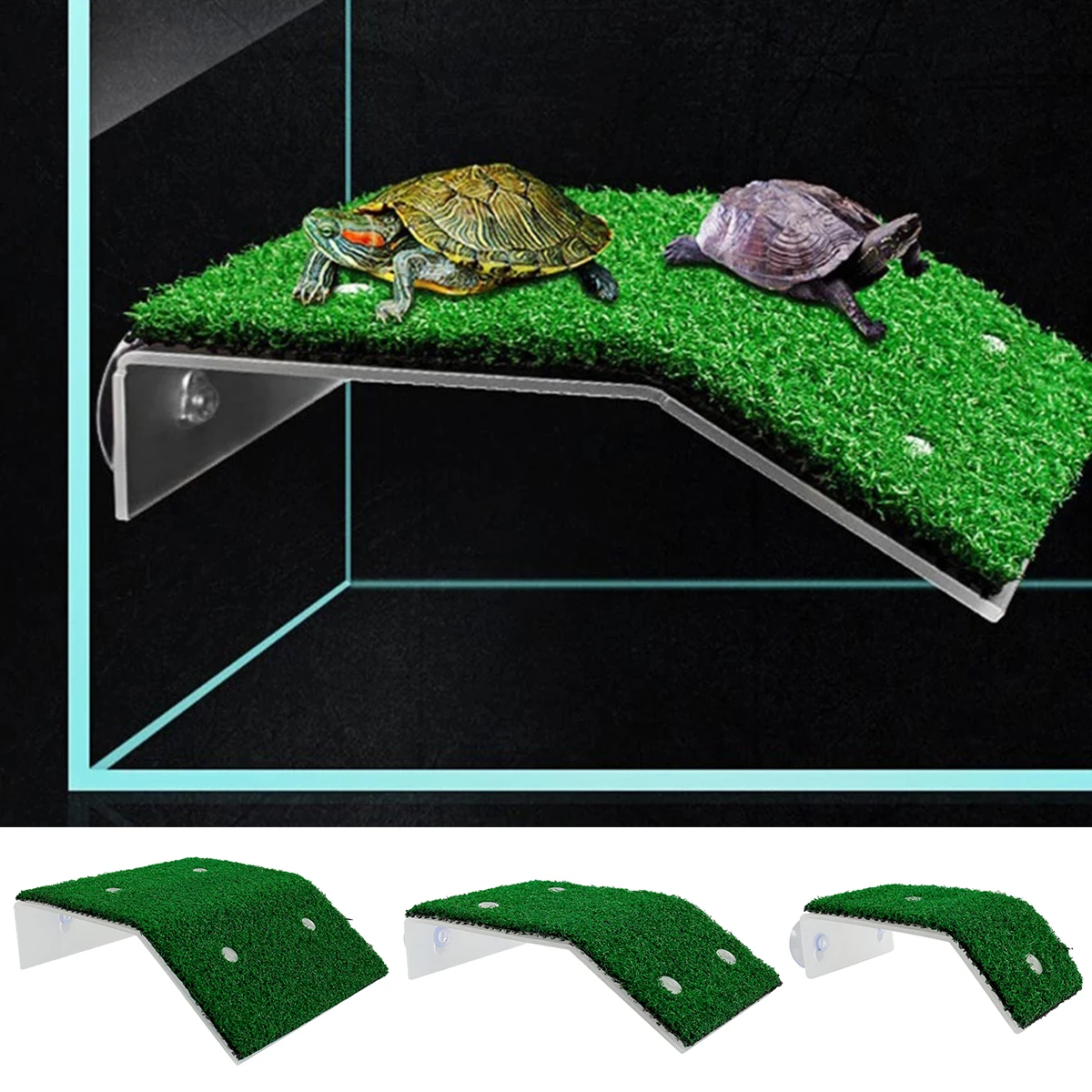 Turtle Climbing Platform Ramp 2