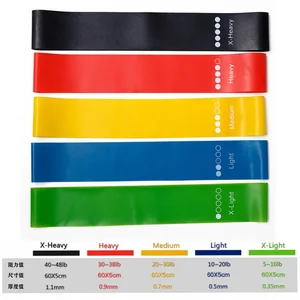 12 Main Sales Bodybuilding Kit - №9