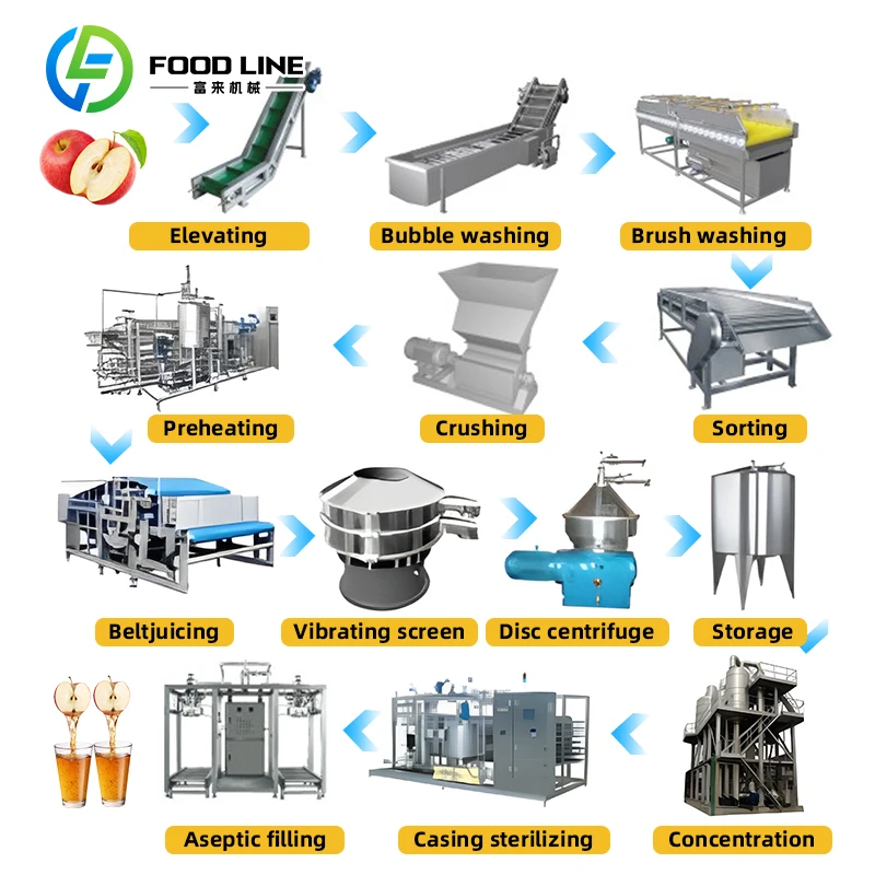 Custom Commercial Apple Juice Extractor Machine Filter Press with Sterilizer for Professional Fruit Juice Processing Equipment