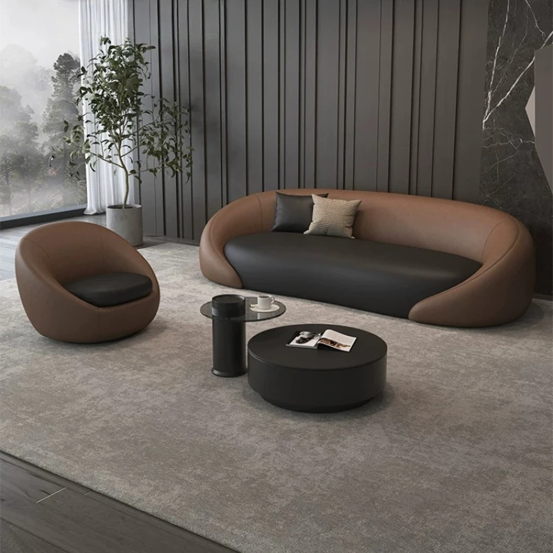 

Narrow Brown Living Room Sofas Designer Black Nordic Lounges Sofa Living Room Modern Individual Divano Soggiorno Home Furniture