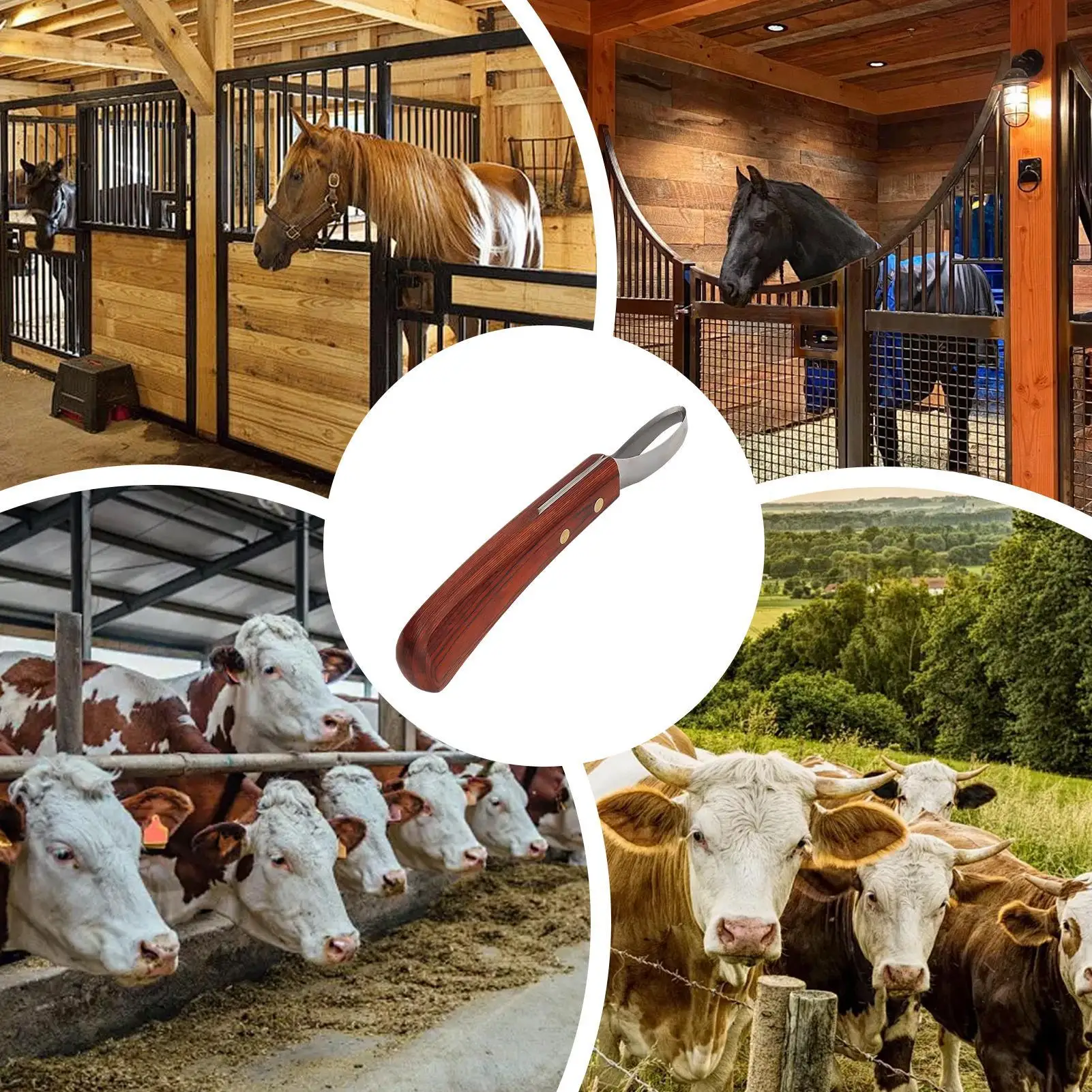 

Крюк для обрезки копыт лошадей, нескользящий, с двойным лезвием, для ухода за копытами, для купания, груминга, для животноводческих ферм и конюшен