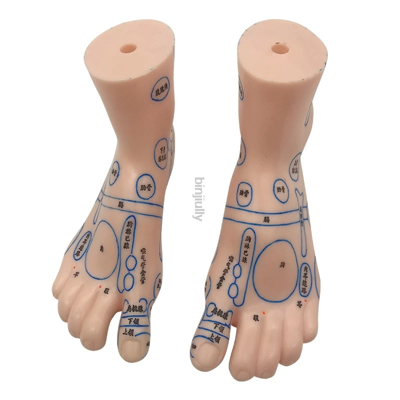 19cm Foot reflex zone massage model, not acupuncture model, English code TCM Feet Reflexology, 2pcs = 1 pair free shipping