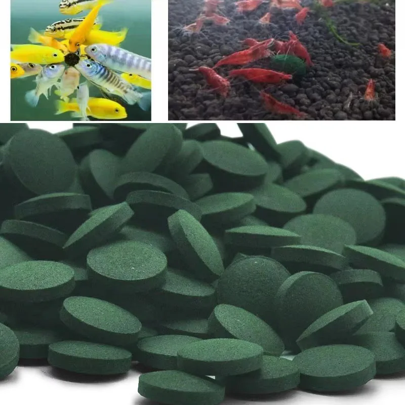 100/300/500/1200pcs Spirulina Tablets Enrichment Favorite Pet Food Fish Crystal Red Shrimp Fish Food Aquarium Accessories