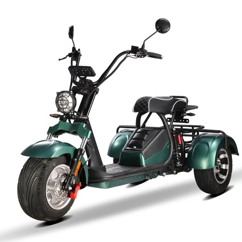 Electric Scooter Electric Tricycles for Adults Cargo Rickshaw with 3 Wheels Passenger Use Electric Motorcycle