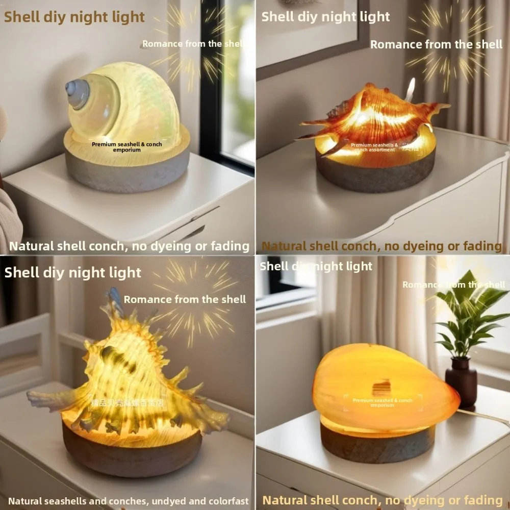 Natural Conch and Sea Urchin Shell Mini Night Light for Kids Birthday Gift DIY Craft Decoration Creative Home Ornament