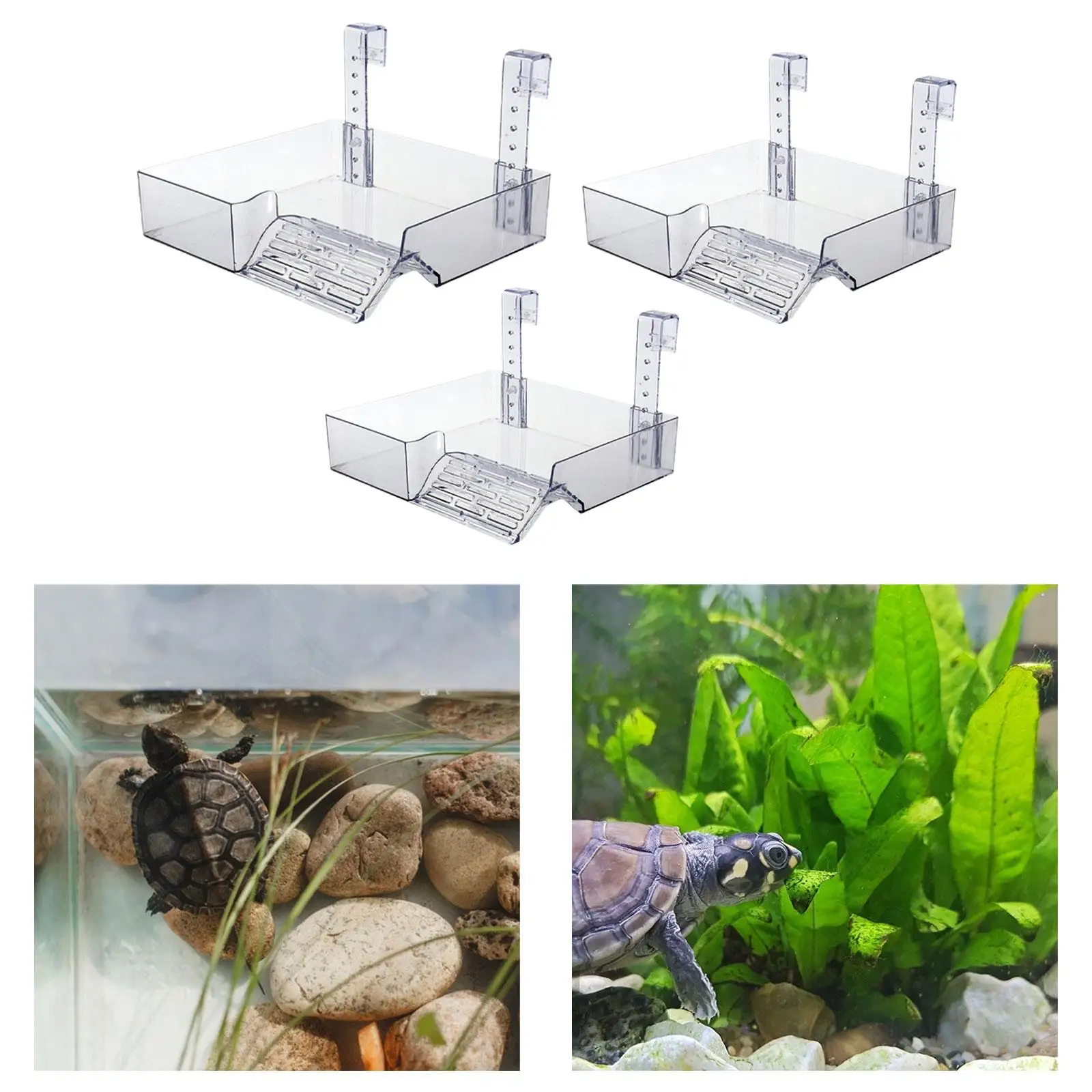 Hanging Turtle Resting Basking Platform Tortoise Ramp Aquarium Animal Sink Wharf Clear Turtle Tank Platform for Small Reptiles