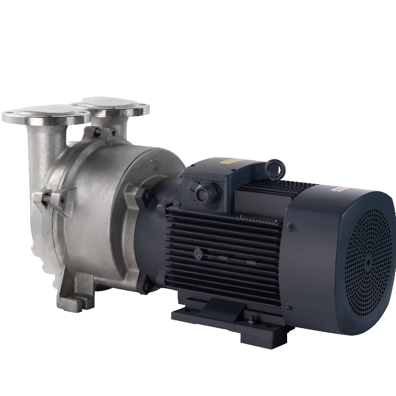 Mobile Slip Easy-to-Move 2BV Industrial Water Ring Vacuum Pump