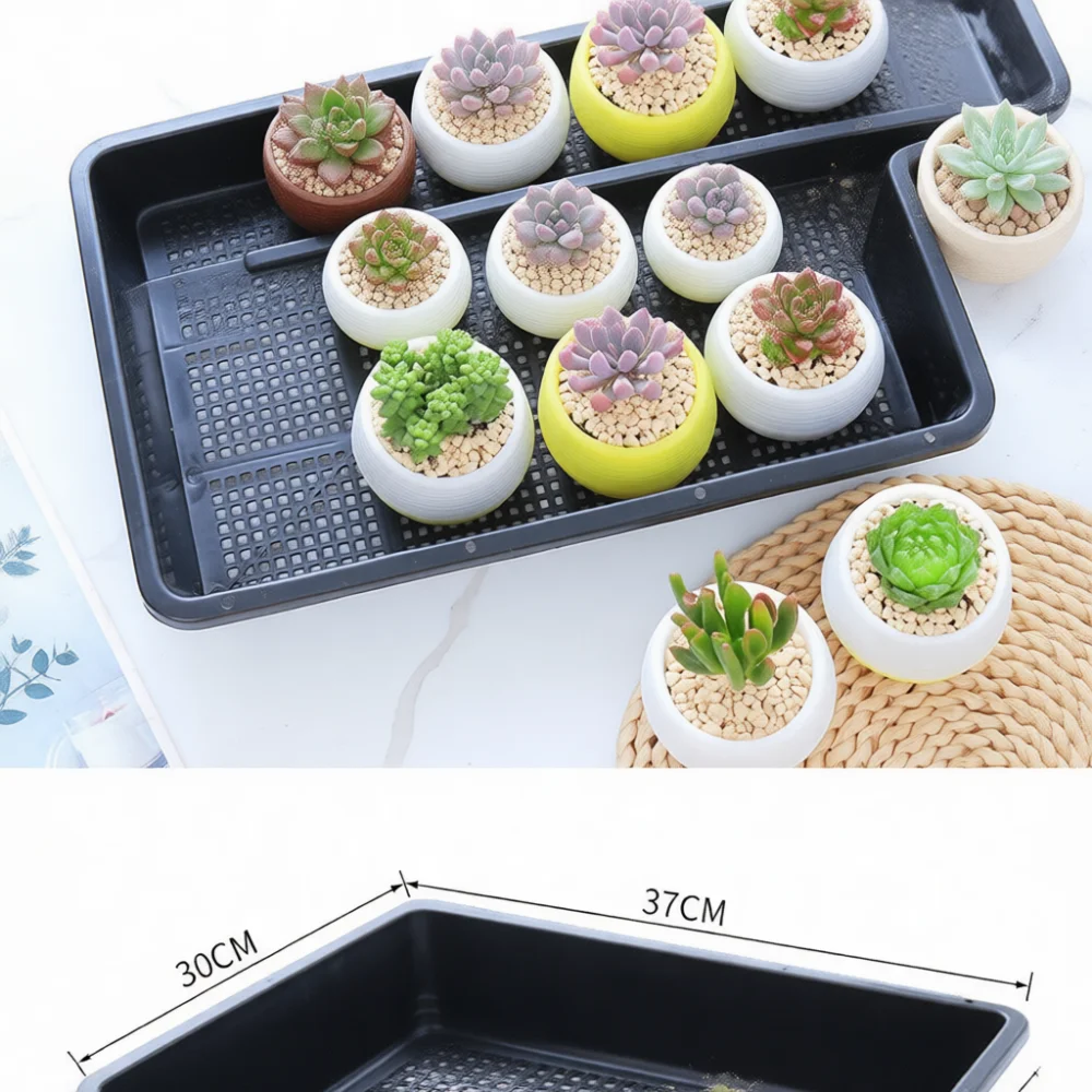 Durable Seed Starter Tray Rectangular Nursery Box Plastic Succulent Propagation Container Indoor Garden Planter