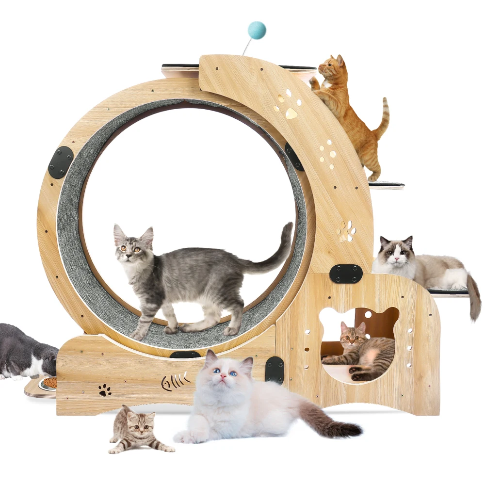 Cat Wheel 6-in-1 Cat Exercise Wheel Upgraded Indoor Cats Large Cat Treadmill Cat Running Wheel Silent Cat Walking Cat Furniture