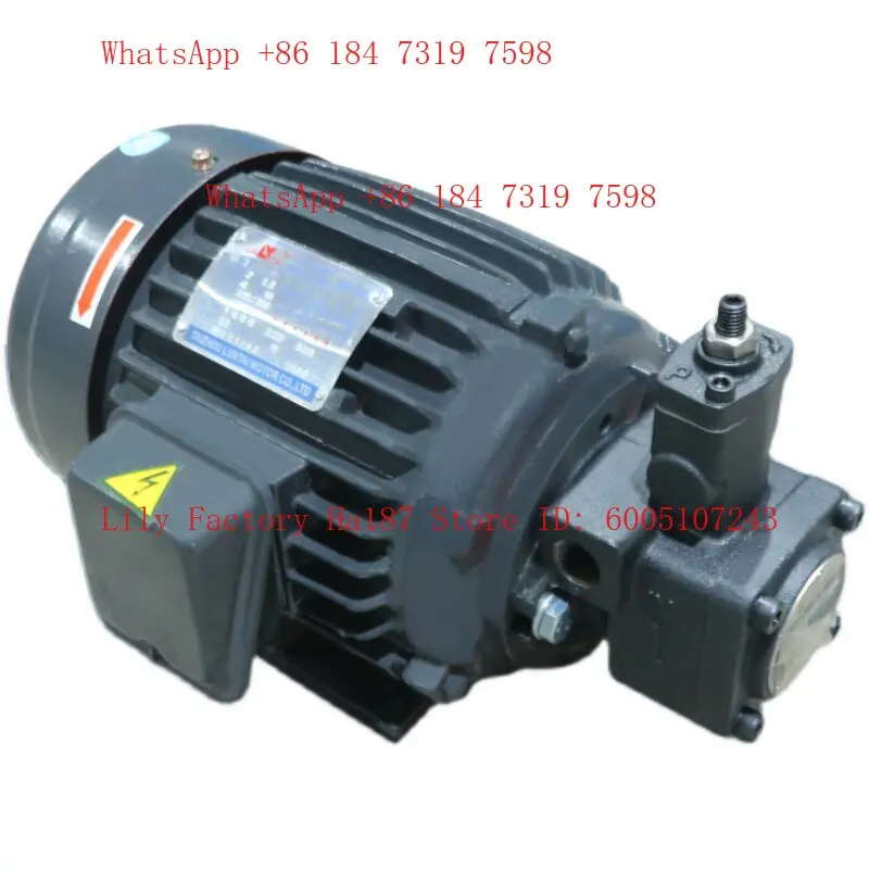 Oil pump motor unit VP20 vane pump assembly hydraulic station special accessories 0.75-1. 5kw inner shaft 380v three-phase