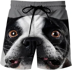 Men's Shorts Cute Dogs 3D Printed Beach Shorts Summer New Casual Vacation Beachwear Funny Animals Pattern Men's Sports Shorts