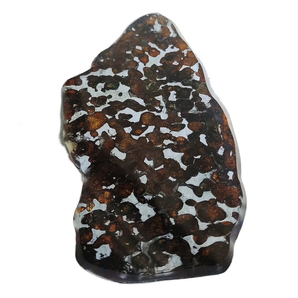 80.9g SERICHO Pallasite Natural Meteorite Material Sliced Olive Meteorite Slices Specimen - From Kenya - TA209