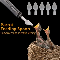 Bird Parrot Feeder Spoon, Baby Bird Milk Medicine Feeding Syringe Bird Soft Feeding Spoon Baby Bird Feeding Tools Kit