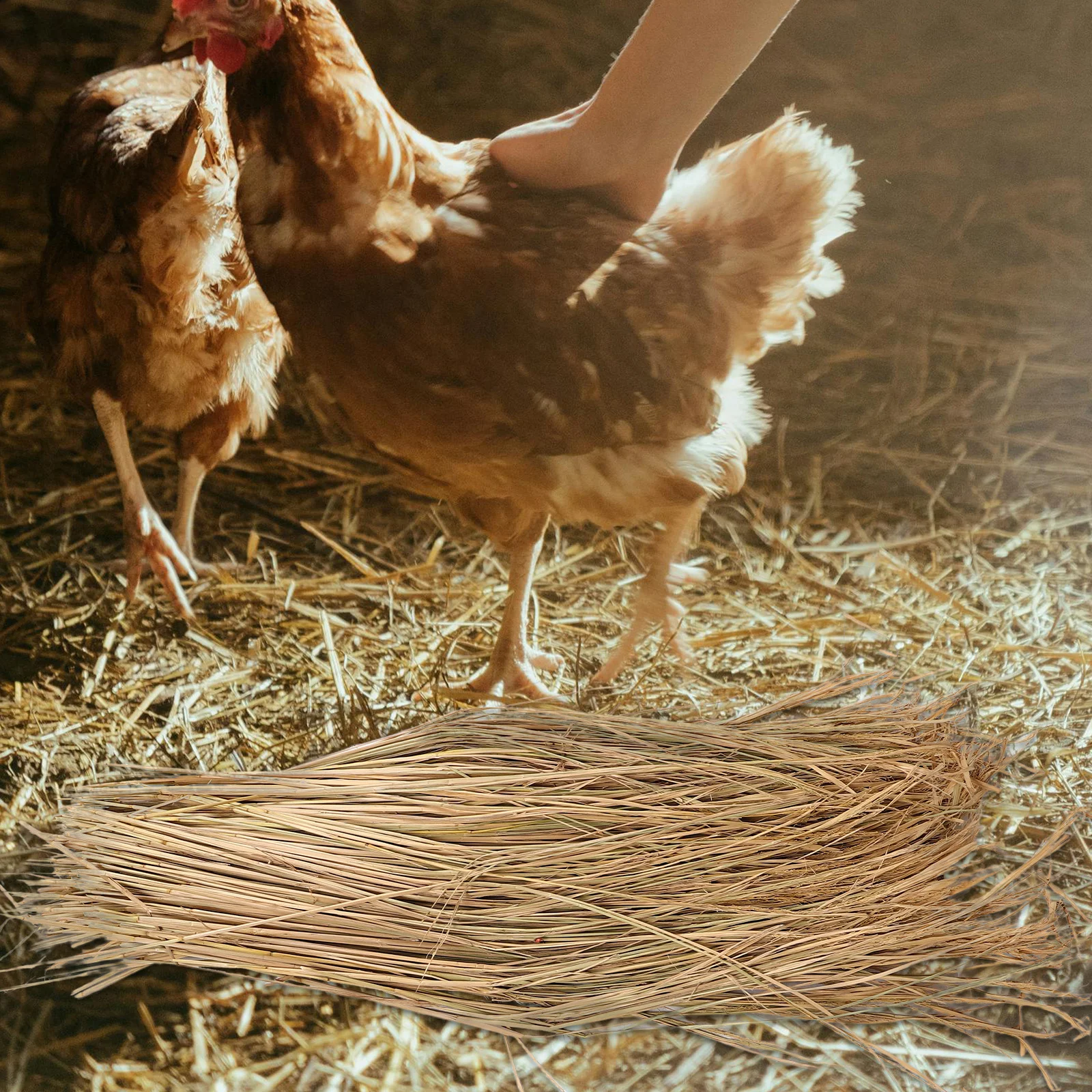 

1Set Straw Nesting Pads Natural Chicken Coop Accessories Hen Nest Box Liners Comfortable Bedding for Laying Hens Egg Protection