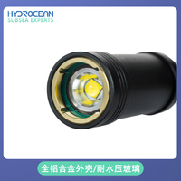 underwater 1000meters LED lamp 1200 Lumen Compact Subsea Light - Underwater Light for ROV Hydrocean underwater robot